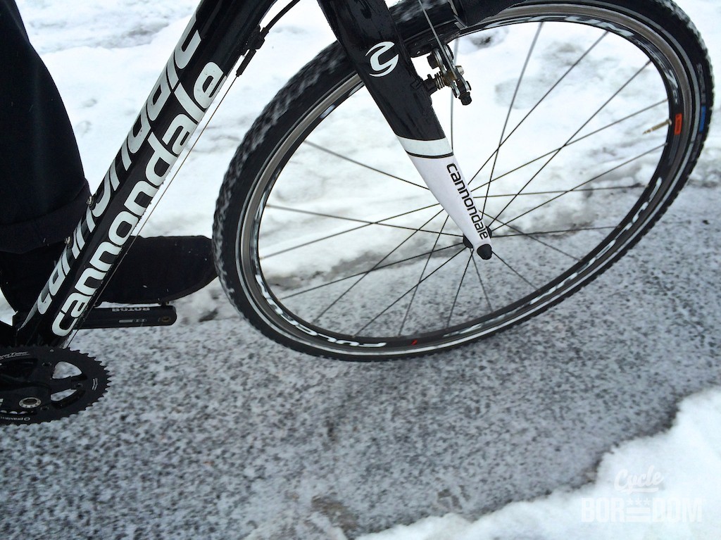 schwalbe winter plus